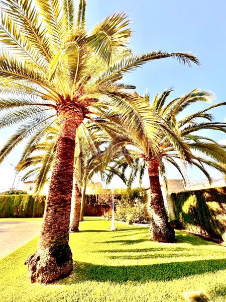 Foto cdd3d8be-a1a1-4bcb-8892-3d9f75570783. Casa adosada en Poblets (els)