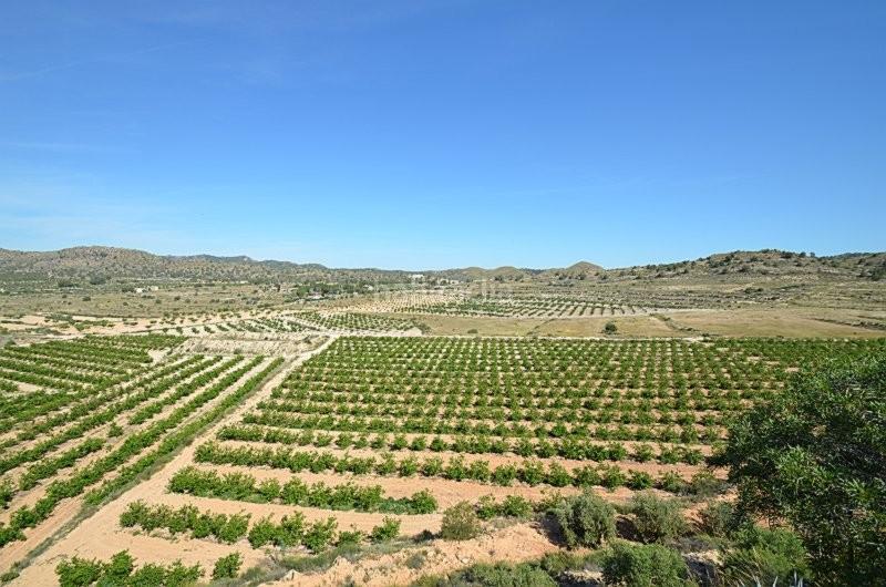 Foto 645faa1b-cbdf-4e15-b7dd-bcbc0beb25b5. Bauernhof in Gea y Truyols Murcia