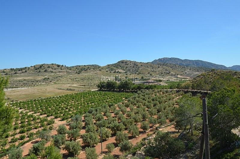 Foto dd5710c0-aeb2-410c-94e2-90dffd1c67f4. Casale in Gea y Truyols Murcia