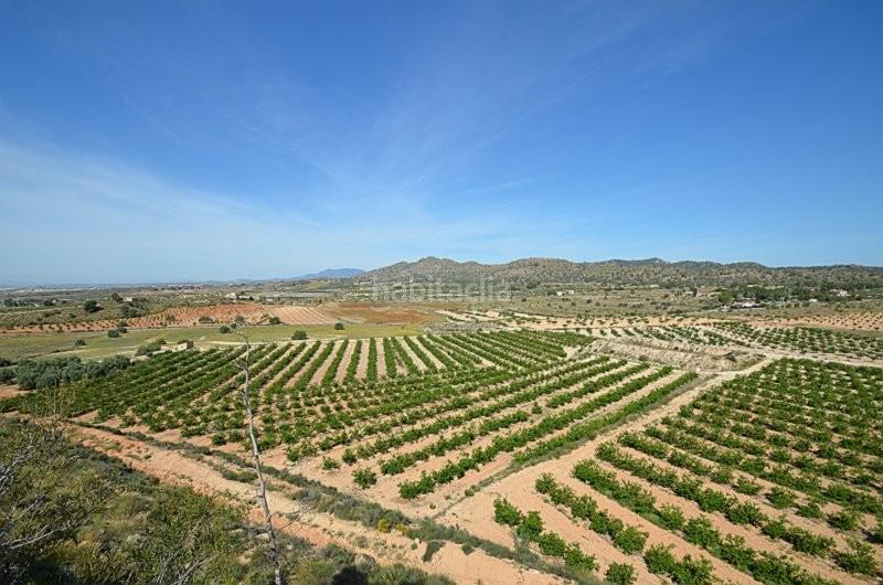 Foto c42e62e6-7632-4b04-8f38-505d0168249f. Mas dans Gea y Truyols Murcia