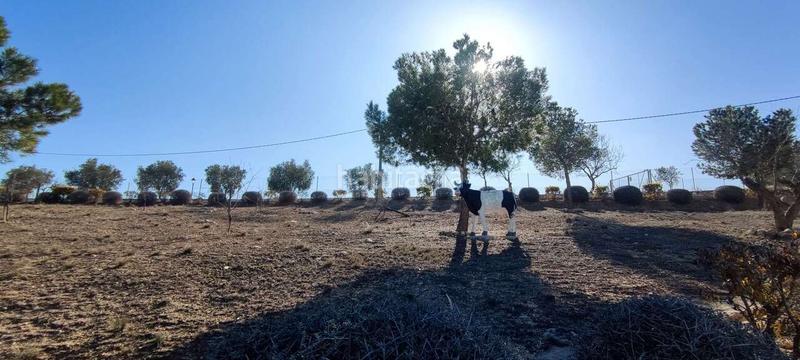 Foto bf7d8a1b-2230-4670-8dcd-04a813467fba. Casa en Pinoso