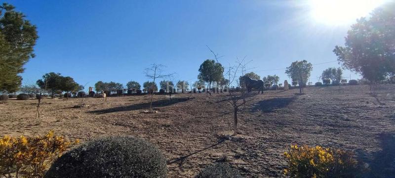 Foto d17515cb-43da-41e5-9605-3f2501c9609e. Casa en Pinoso