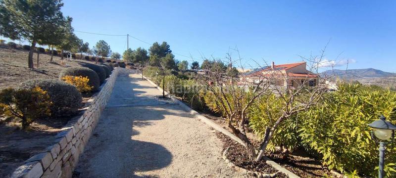 Foto f99814d5-8aa7-471a-8f97-62b553519f09. Casa en Pinoso