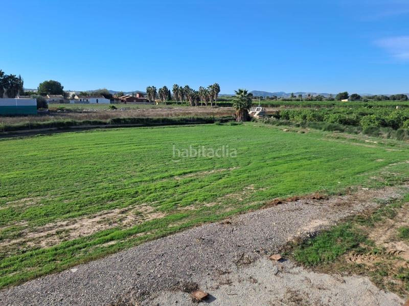 Foto 33ee2536-a369-4ae7-82bd-3ed37d7af728. Masia a Benejúzar