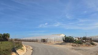 Geschäftsraum in Pilar de la Horadada Ciudad