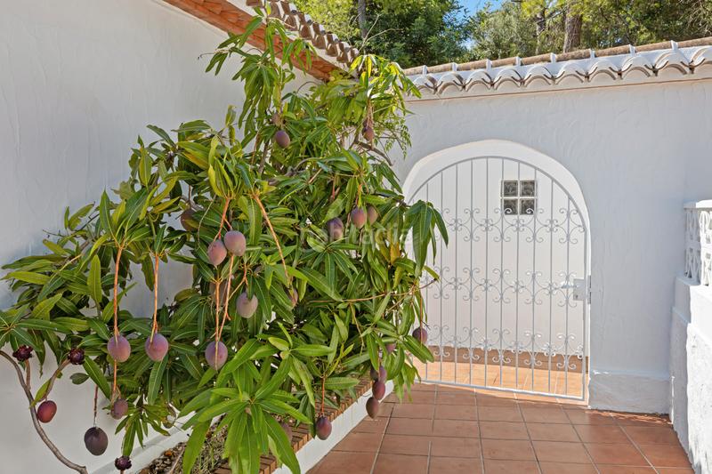 Foto 60bc66cc-900e-405e-a9e6-9bfeacf4a950. Casa a Partida Comunes-Adsubia Xàbia