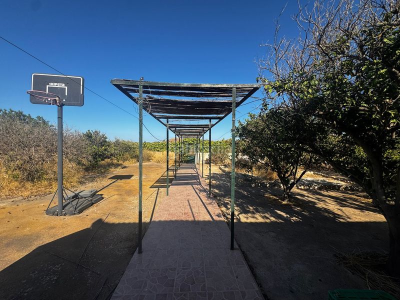 Foto cba98999-2093-430f-a0b3-12759f93681a. Casa amb xemeneia piscina a Roche Unión (La)