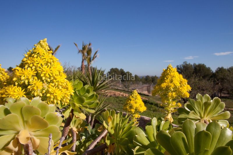 Foto 0d83e8cf-ef99-4bd7-a6ce-e6e81a7d0e04. Masia amb piscina a Benissa pueblo Benissa