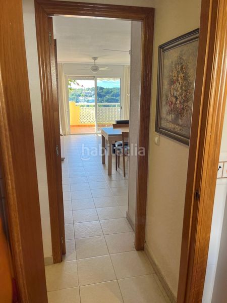 Foto d5aeb26f-f3f1-44c6-b8e9-f1dd74b588ad. Apartament a Aguamarina Orihuela
