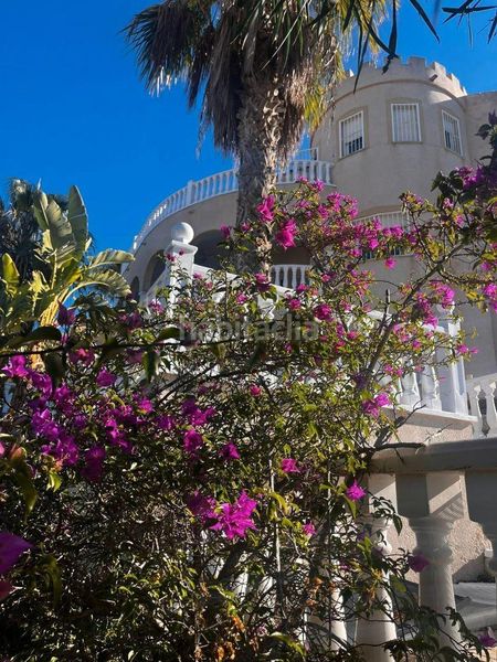 Foto e10a4a5a-7ca7-4c5f-9280-8421b4645095. Casa amb piscina a Rojales