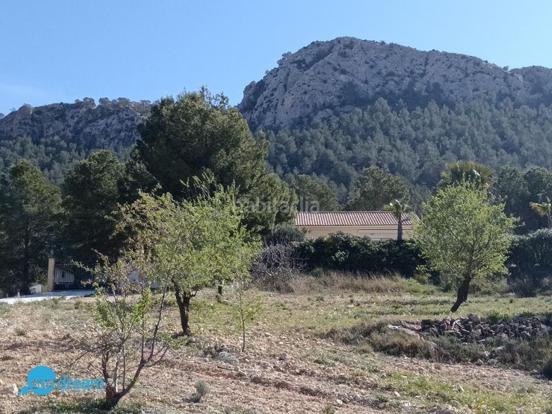 Foto 03e97777-1b86-4e6f-9598-0061e1d7ad1b. Casa amb piscina a Abanilla