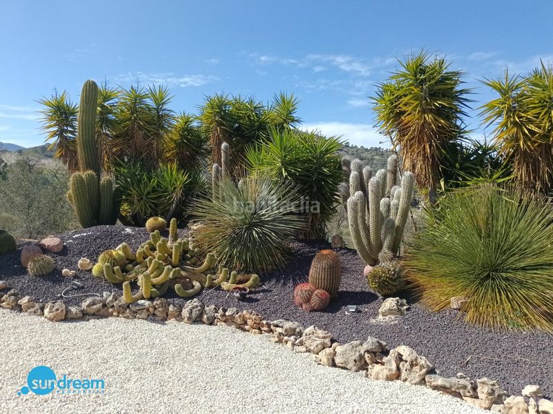 Foto 501173b5-439f-4d2f-a401-b81f52bd8ca9. Casa amb piscina a Abanilla