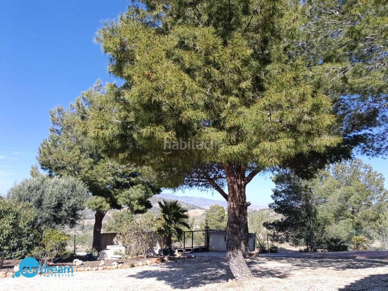 Foto f3332f70-d008-40e1-ac26-429f8c59652b. Casa amb piscina a Abanilla