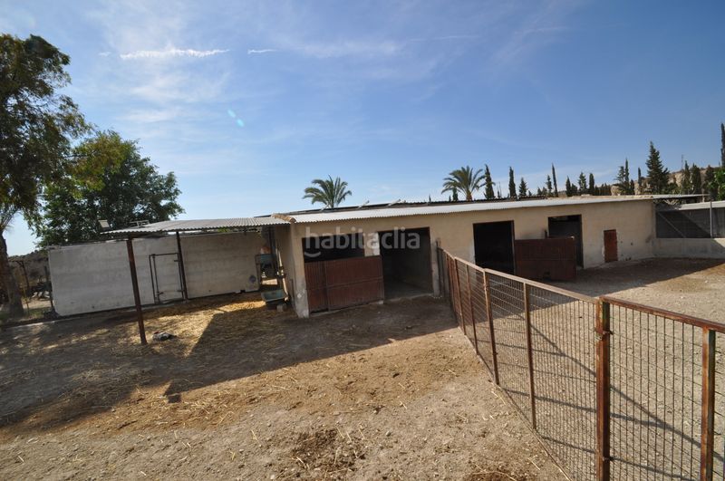 Foto f6fcbe5e-f74b-4b3f-809b-91dbc26e5f4f. Local comercial a Abanilla