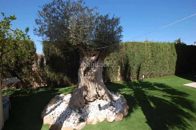 Foto d53b5f8e-930b-435b-94b0-04445fb52b81. Casa a Rojales