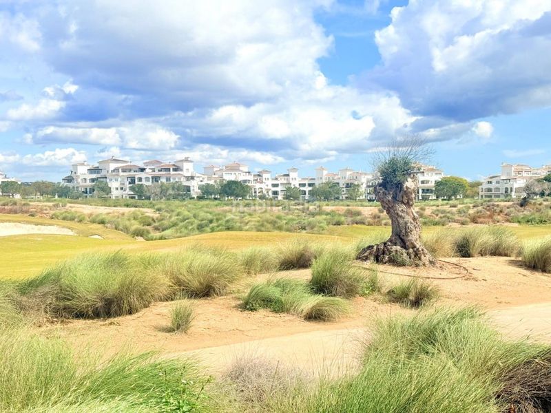 Foto d355cc28-3819-4012-9f83-5b8eed168db8. Dúplex a Jerónimo y Avileses Murcia