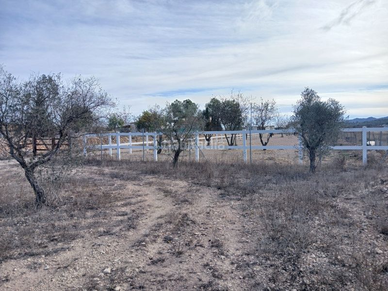 Foto 325d9476-2ae3-418c-bec4-5c8c1b6d9847. Masia amb aparcament a Monòver