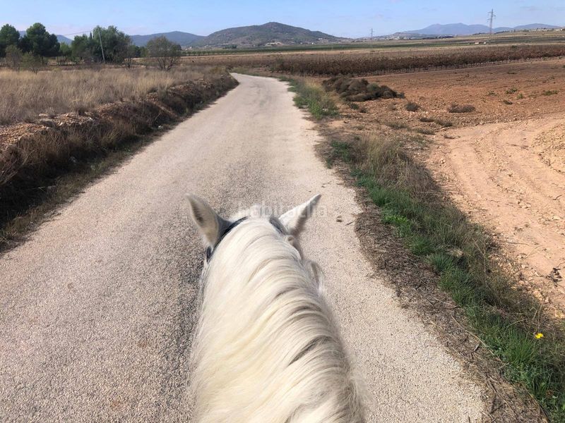 Foto 6d6f9c03-c888-464d-ab07-0417bafdd4fe. Masia amb aparcament a Monòver