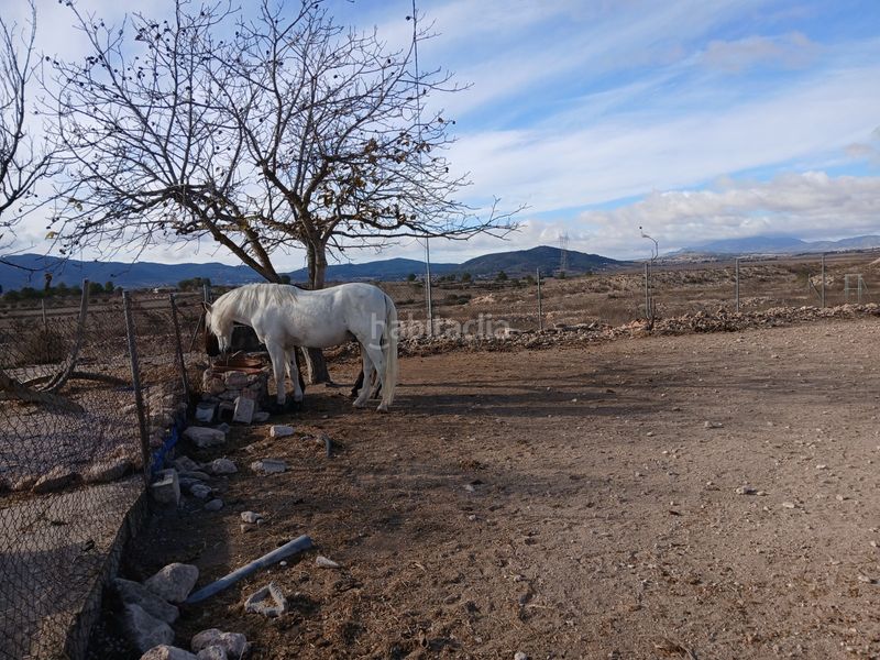 Foto 84e14bb3-4a9c-4eab-8946-10c835343a93. Masia amb aparcament a Monòver