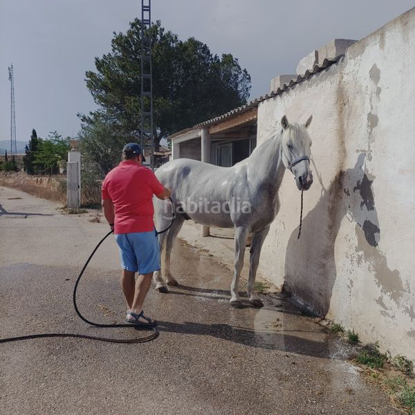 Foto 8f5bb813-a82a-4f31-ba4d-9a301ed9230a. Masia amb aparcament a Monòver