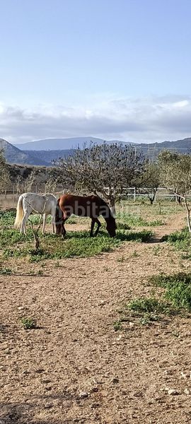 Foto c8d00db5-7968-41c4-90dd-73d1a0ce6449. Masia amb aparcament a Monòver