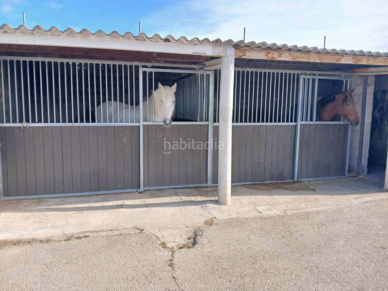 Foto d68ecd82-d833-4c85-aca0-38bda298dbcd. Masia amb aparcament a Monòver