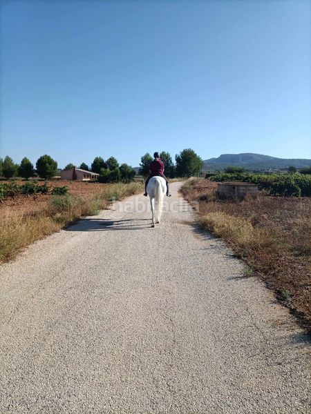 Foto e6794eab-b30e-4b8e-b5ee-cea930afe954. Masia amb aparcament a Monòver