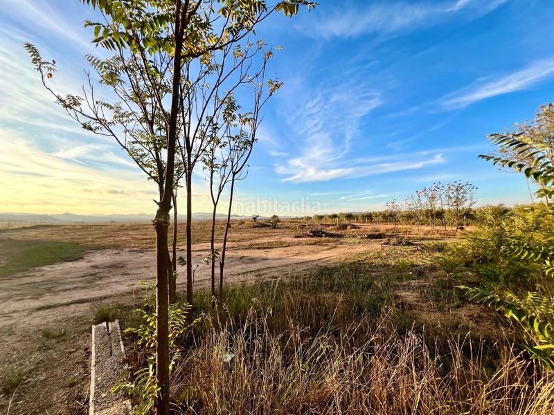 Foto 9040c63c-5126-4ee3-8cb0-df7ba1e2f857. Masia amb piscina a Yecla