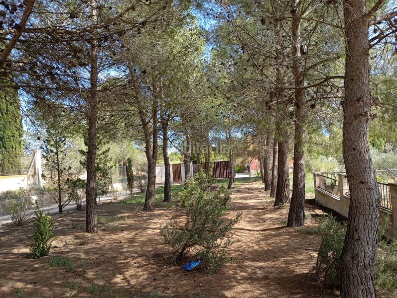 Foto b91d0a7c-52d0-42ab-8493-588c226ff2bf. Casa amb aparcament piscina a Yecla