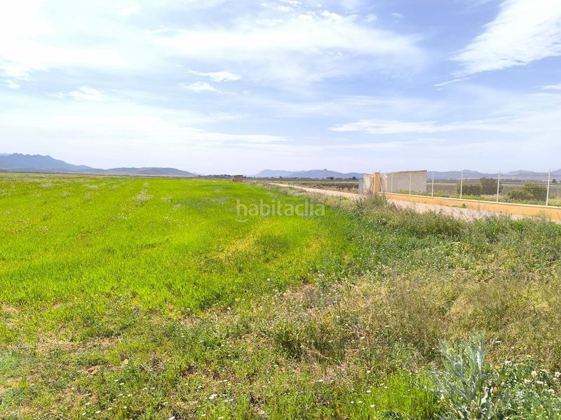 Foto 50856687-cca3-4171-bb28-905cae849077. Masia a Yecla