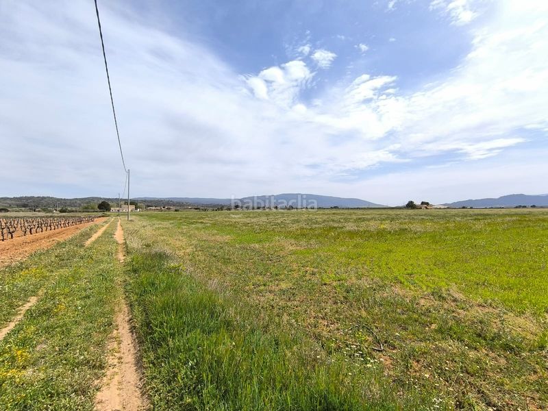 Foto 7dbef694-9ed5-46c2-8faa-88a784910dfc. Masia a Yecla