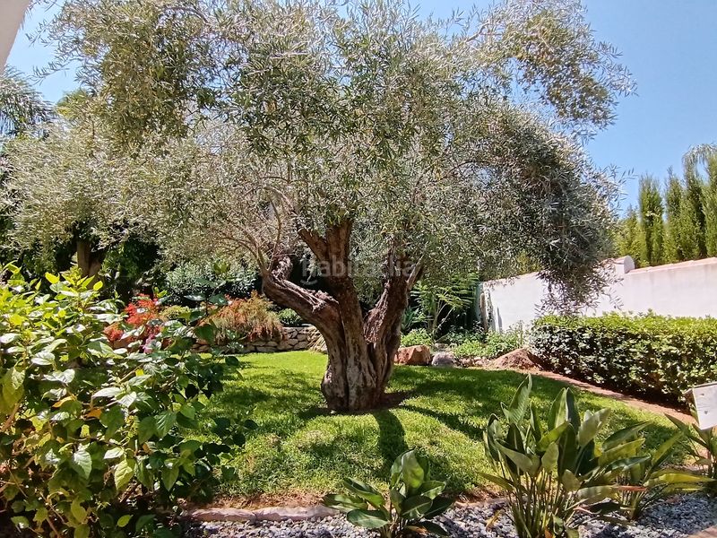 Foto f8628c8c-3ce4-4704-b67a-563e076f9954. Casa amb xemeneia a La Xara-La Sella Dénia