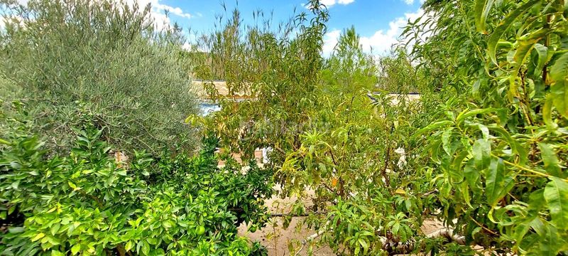 Foto 3f18f59b-094f-4c53-b397-06e2966b12c8. Casa a Rincón de Seca Murcia