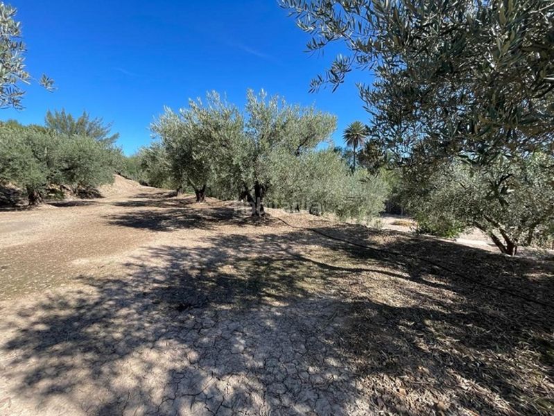 Foto 42e71c45-8c5c-44e8-9a49-327c5ec39053. Casa a Rincón de Seca Murcia