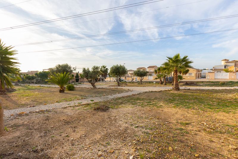 Foto 07e8a80b-d086-4194-81f4-0bcba43df3b5. Casa amb piscina a Almoradí