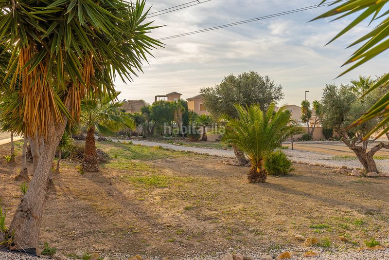 Foto 77908de6-4fb1-4714-b7ab-475f6e8e3b88. Casa amb piscina a Almoradí