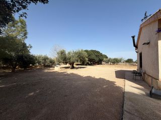 Business premise in Torre-Pacheco