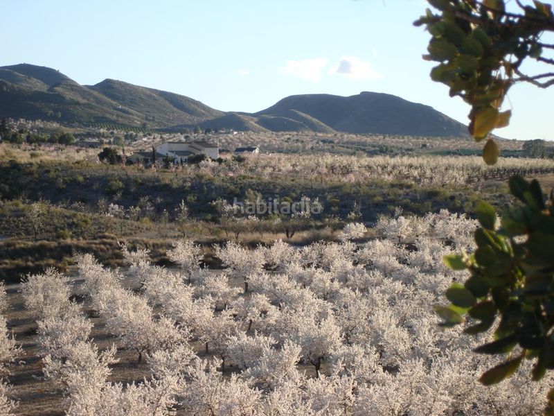 Foto ba8f9a2a-41fd-49e5-b261-44e9356bcc60. Masia amb aparcament a Aguaderas Lorca