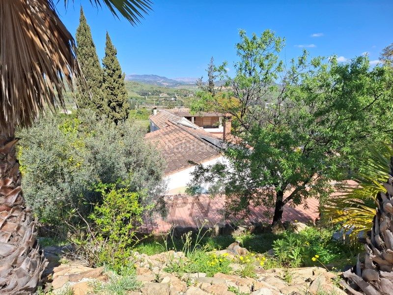 Foto e72d598f-1c4c-4206-ad11-f39ceb01da0c. Masia a Álora