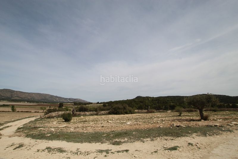 Foto d3da9296-7f3a-4497-8a47-115725e926f3. Masia amb aparcament a Monòver
