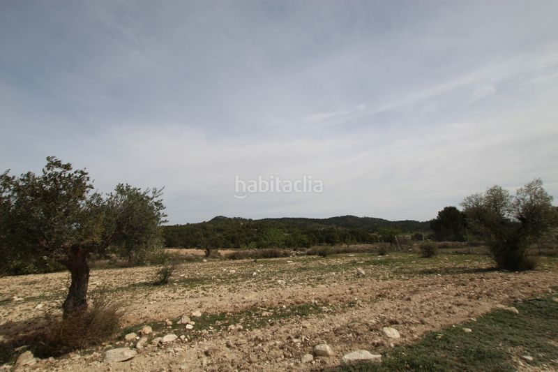 Foto e45af7e0-c071-4e4b-a0ca-c66b06babac6. Masia amb aparcament a Monòver