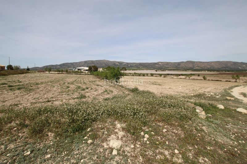 Foto e70f0a72-3ca7-41c2-b8aa-b1562db20279. Masia amb aparcament a Monòver