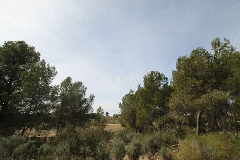 Foto f8dc6584-8495-4892-a3a3-8ced0381abc5. Masia amb aparcament a Monòver