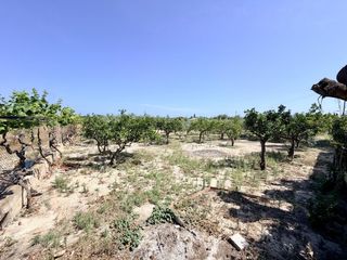 Bauernhof in La Marina