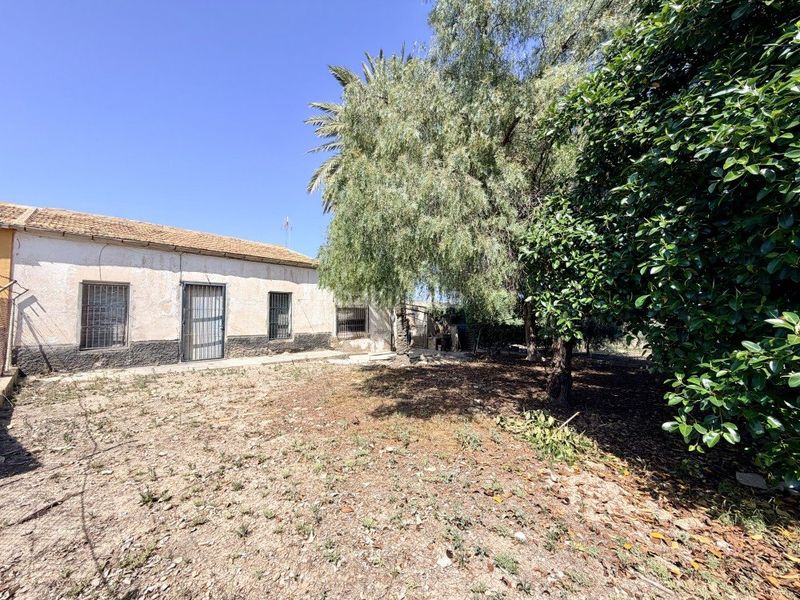 Foto 6159d029-877f-45c6-9c8a-e0991fd0088d. Masia amb aparcament a La Marina Elche / Elx
