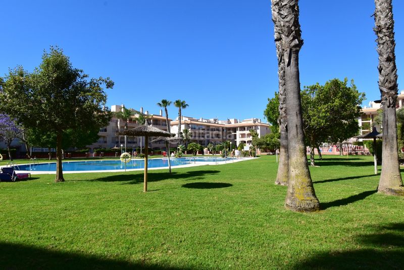 Foto b3d788ac-6e0f-4ce2-aad6-0c283cb5c2df. Dúplex a La Florida Orihuela