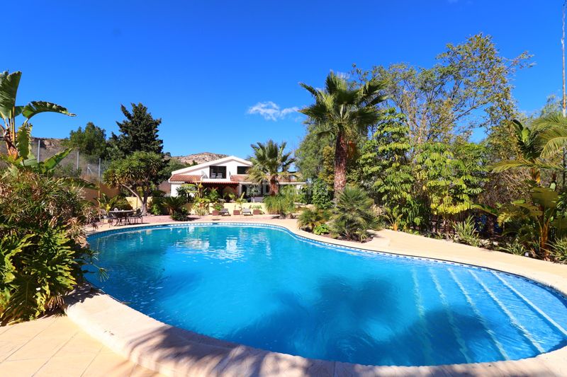 Foto c7ce9f7e-397e-4e3b-9da6-ababe443303d. Masia amb piscina a Pedanías Oeste Aspe