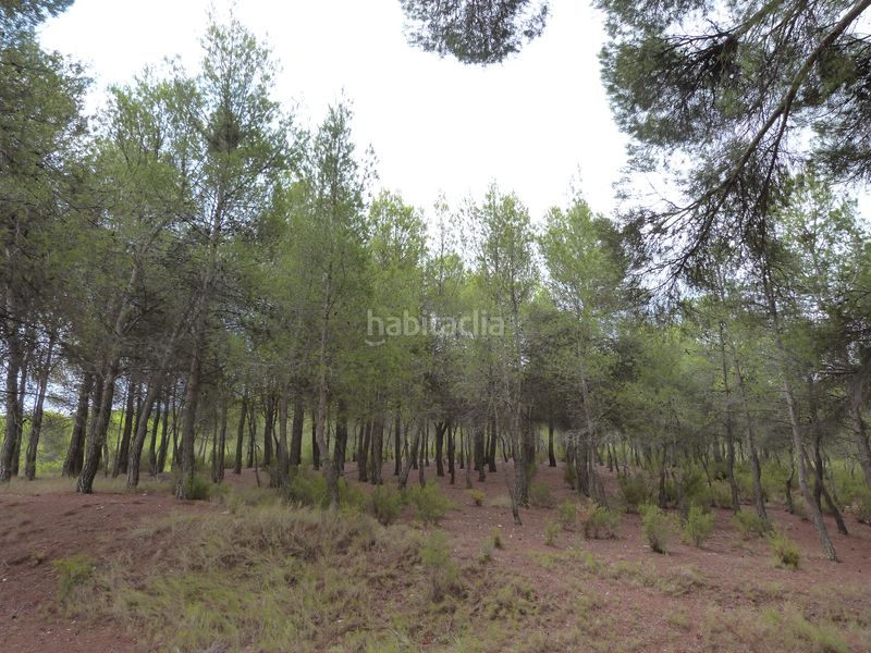 Foto c15dd060-3690-43af-8b45-5cd8ec6e6166. Masía en Ibi