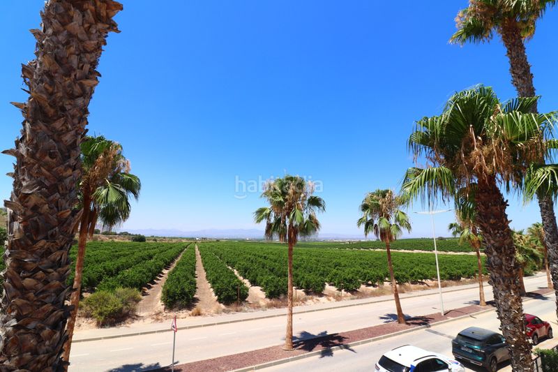 Foto a9253888-716f-4e44-8a17-6c9a0e602875. Casa a Algorfa