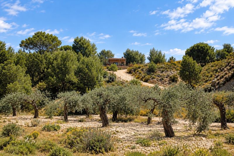 Foto fbeaefc2-47d6-4b91-b42e-d2605e522235. Casa a Cañadas de San Pedro Murcia